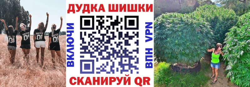 Шишки марихуана THC 21%  Ачхой-Мартан 